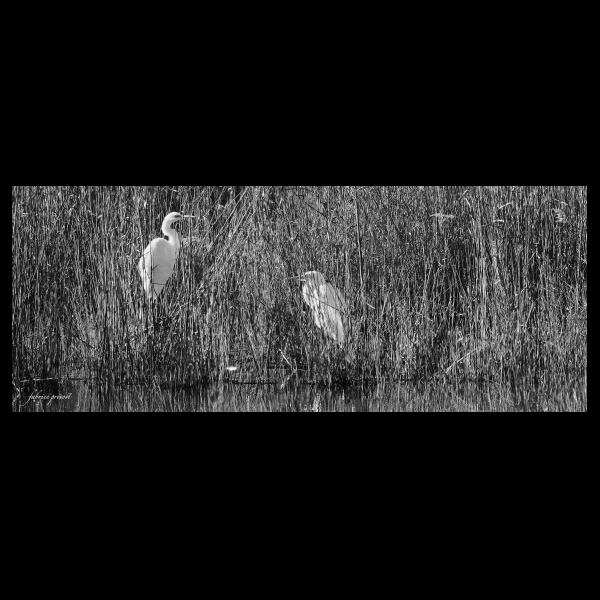 PHOTO84, CLUB, 84 , LUBERON